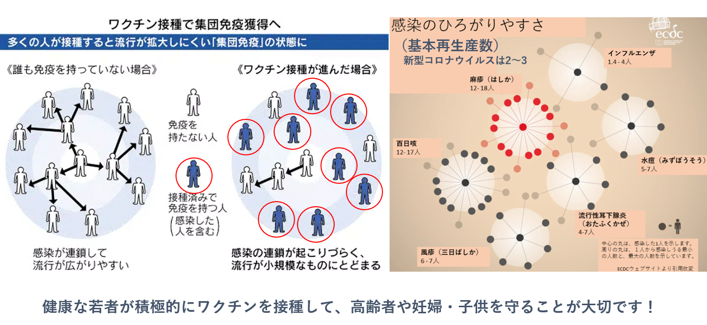 コロナ かかり にくい 人