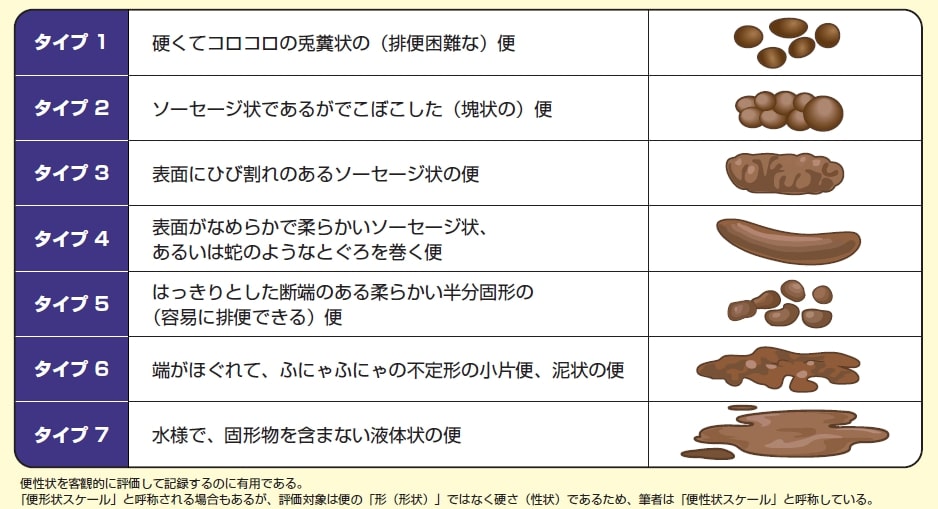 ブリストル便形状スケール（あなたの便の形状は？）