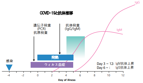 抗体の経時的変動